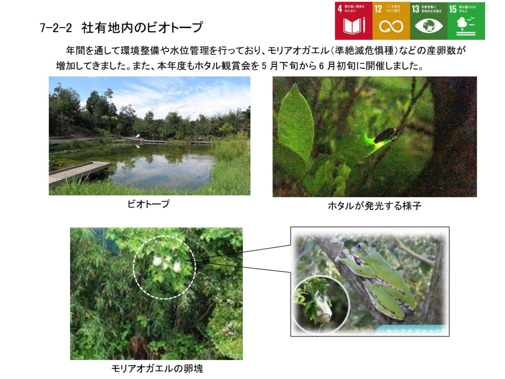 里山の環境保全及び耕作放棄地の有効活用技術取組事例
